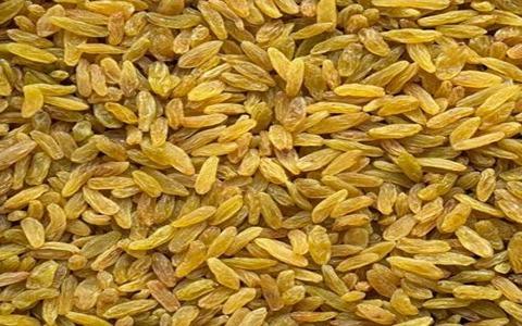 تصویر 2 از خرید کشمش سبز کاشمر + قیمت فروش استثنایی